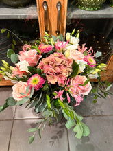 Ladda upp bild till gallerivisning, Favorit