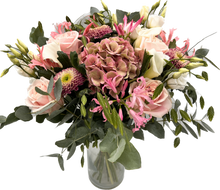 Ladda upp bild till gallerivisning, Favorit